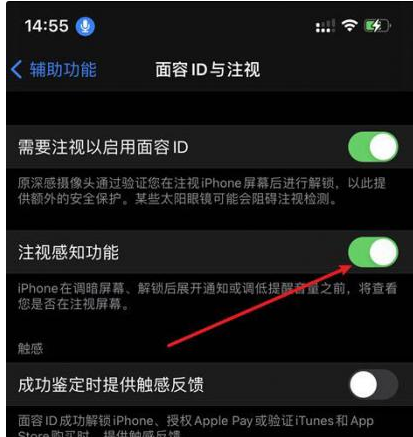 高安苹果14维修网点分享iPhone14注视感知功能有什么用 